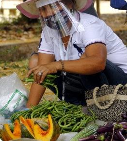 Agriculture