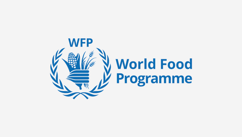 i-APS Project Long-Term Agreement/IDIQ for WFP Supply Chain Reviews 