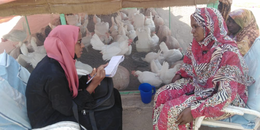 i-APS Project Enhancing Food Security and Resilience of Rural Communities in Kassala and Northern States, Sudan